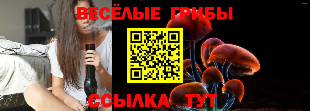 Галлюциногенные грибы мицелий  Вход с VPN  Чехов  Псилоцибиновые грибы GOLDEN TEACHER 